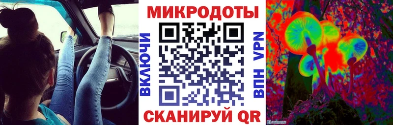 Галлюциногенные грибы Psilocybine cubensis  Протвино 